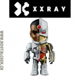 XXRAY DC Comics Cyborg Dissected Vynil Art Figure