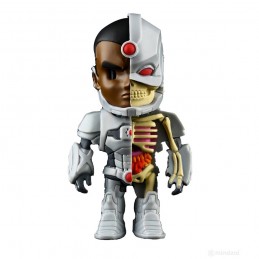 XXRAY DC Comics Cyborg