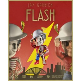 XXRAY DC Comics Golden Age The Flash Jay Garrick