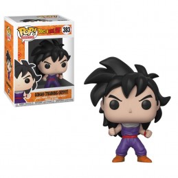 Funko Funko Pop Dragon Ball Z Gohan Training Outfit