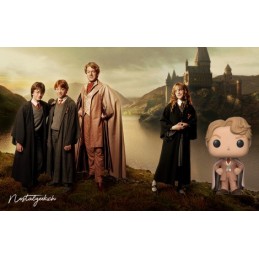 Funko Funko Pop Harry Potter Gilderoy Lockhart Vaulted Vinyl Figure