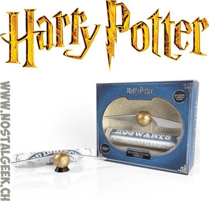 Harry Potter Le mystérieux Vif d'Or Quidditch