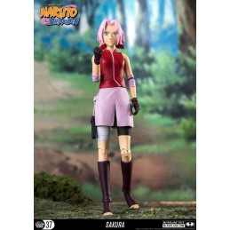 McFarlane Toys McFarlane Toys Naruto Shippuden Sakura Collectible Action Figure