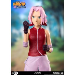 McFarlane Toys McFarlane Toys Naruto Shippuden Sakura