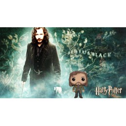 Funko Pop N°16 Harry Potter Sirius Black Vinyl Figur