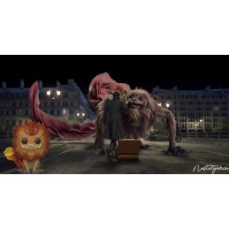 Funko Pop N°28 Fantastic Beasts 2 The Crimes of Grindelwald Zouwu