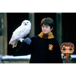 Funko Funko Pop Harry Potter (Robes and Hedwig) Exclusive Vinyl Figure