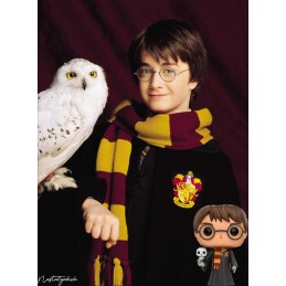 Funko Funko Pop Harry Potter (Robes and Hedwig) Edition Limitée