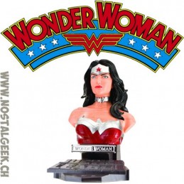 DC Comics Justice League 3D Puzzle Wonder Woman