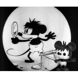 Funko Funko Pop Disney Mickey's 90th Plane Crazy Vinyl Figure