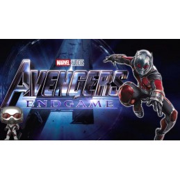 Funko Funko Pop Marvel Avengers Endgame Ant-Man (Quantum Realm Suit)