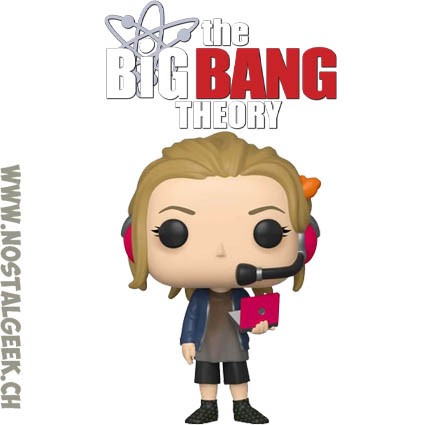 big bang theory mystery minis