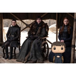 Funko Funko Pop Game of Thrones King Bran The Broken Vinyl Figure