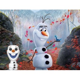 Funko Funko Pop Disney Frozen 2 Olaf with Bruni