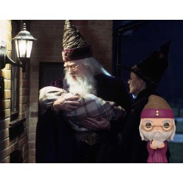 Funko Funko Pop Harry Potter Dumbledore with Baby Harry