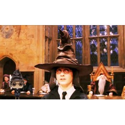 Funko Pop Movies Harry Potter Sorting Hat Limited edition