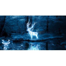 Funko Funko Pop Harry Potter Patronus Harry Potter Vinyl Figure