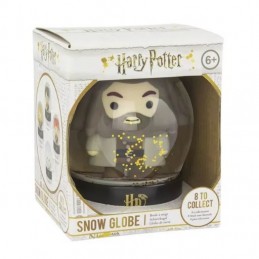 Harry Potter Hagrid Snow Globe