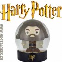 Harry Potter Hagrid Snow Globe