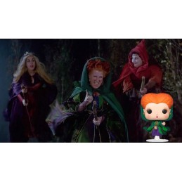 Funko Funko Pop Movies Hocus Pocus Winifred Sanderson on Broom Vinyl Figure