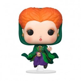 Funko Funko Pop Movies Hocus Pocus Winifred Sanderson on Broom Vinyl Figure