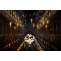 Funko Super Cute Plushies Harry Potter plush