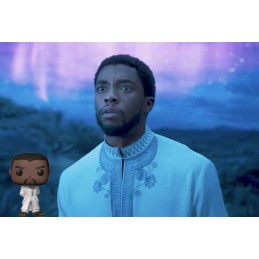 Funko Funko Pop Marvel Black Panther T'Challa (White Robe)