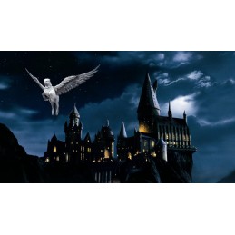 McFarlane Toys Harry Potter Figurine articulée Buck