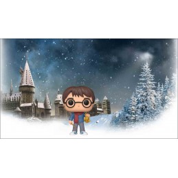Funko Funko Pop! N°122 Harry Potter (Holiday)