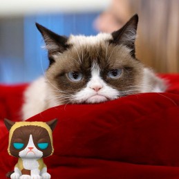 Funko Funko Pop N°60 Icons Grumpy Cat Flocked Vaulted Edition Limitée