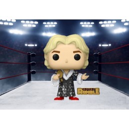 Funko Funko Pop WWE Ric Flair (Diamond Glitter) Edition Limitée Vaulted