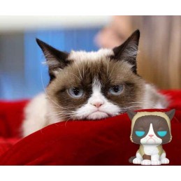 Funko Funko Pop Icons Grumpy Cat Vaulted