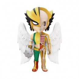 DC Comics Hawkgirl XXRay par Jason Freeny