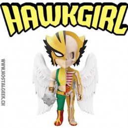 DC Comics Hawkgirl XXRay par Jason Freeny