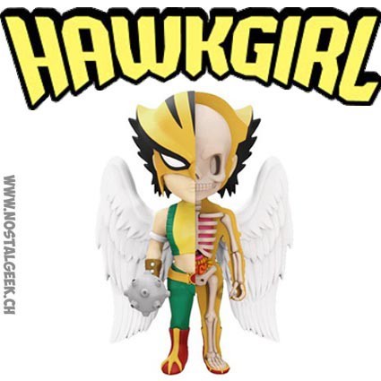 DC Comics Hawkgirl XXRay par Jason Freeny