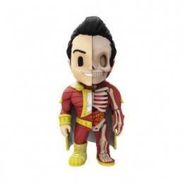 DC Comics Shazam XXRay par Jason Freeny