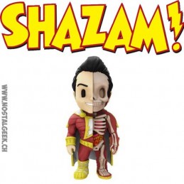 DC Comics Shazam XXRay par Jason Freeny