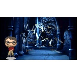 Funko Funko Pop SDCC 2021 Harry Potter Flying (Key in Hand) Edition Limitée