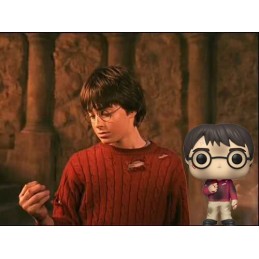 Funko Funko Pop Harry Potter with Sorcerer's Stone Vinyl Figure