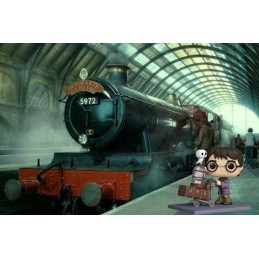 Funko Funko Pop Harry Potter Pushing Trolley