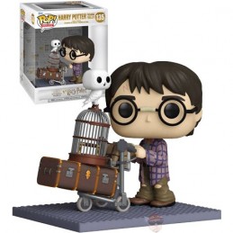 Funko Funko Pop Harry Potter Pushing Trolley Vinyl Figure