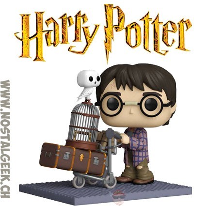 Funko Funko Pop Harry Potter Pushing Trolley Vinyl Figure