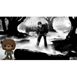 Funko Funko Pop Universal Monsters The Wolf Man Edition Limitée