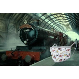 Harry Potter Pack de 2 masques Hogwarts Express