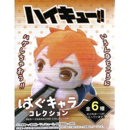 Haikyu!! Hug Character Collection Shoyo Hinata