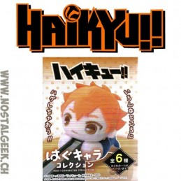 Haikyu!! Hug Character Collection Shoyo Hinata