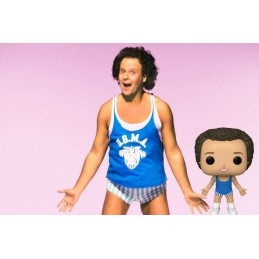 Funko Funko Pop Icons Richard Simmons Vaulted Vinyl Figure