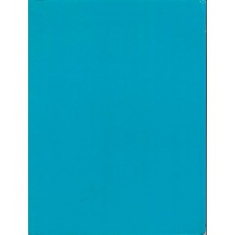 Disney Le Guide des Parents Used book