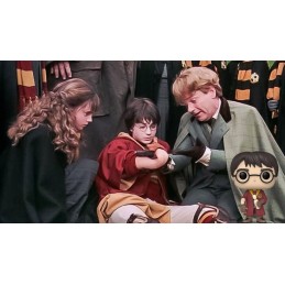 Funko Funko Pop Harry Potter (Boneless Arm) Vinyl Figure