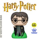 Funko Pop Harry Potter N°53 (Using Floo Powder) GITD Exclusive Vinyl Figure
